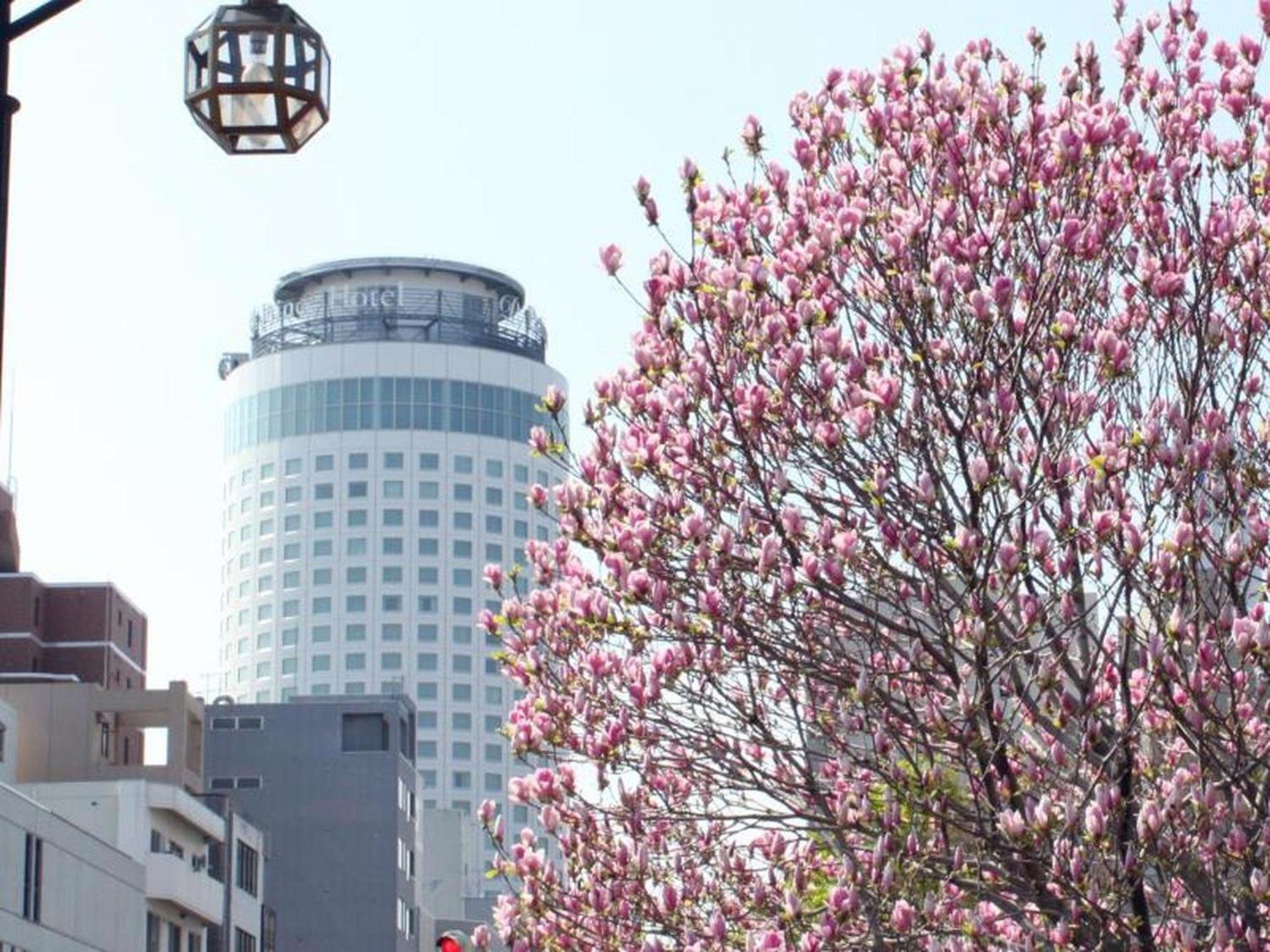 Sapporo Prince Hotel Εξωτερικό φωτογραφία